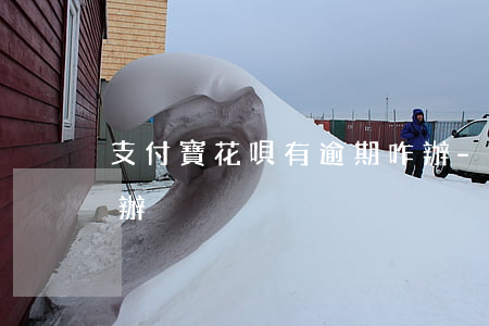 支付寶花唄有逾期咋辦-支付寶花唄逾期咋辦?
