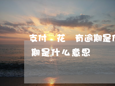 支付寶花唄有逾期是什么-支付寶花唄有逾期是什么意思