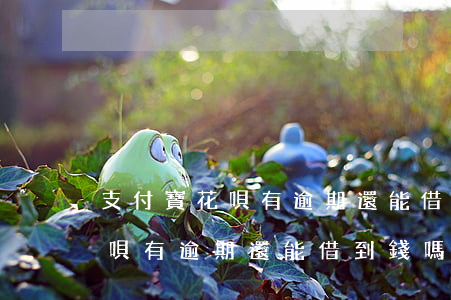 支付寶花唄有逾期還能借到錢嗎-支付寶花唄有逾期還能借到錢嗎