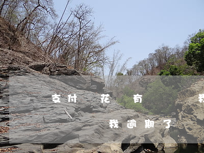 支付寶花唄有電話說我逾期-支付寶花唄有電話說我逾期了
