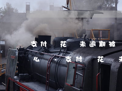 支付寶花唄未逾期被風(fēng)控了怎么辦-支付寶花唄未逾期被風(fēng)控了怎么辦呢