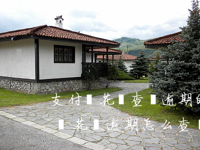 支付寶花唄查詢逾期的賬號(hào)(支付寶花唄逾期怎么查詢)