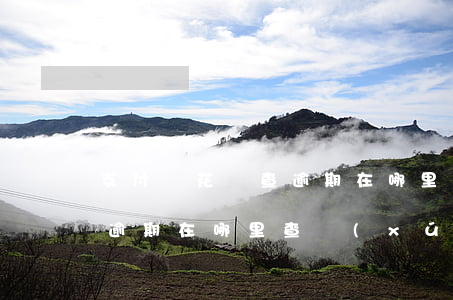 支付寶花唄查逾期在哪里查-支付寶花唄查逾期在哪里查詢(xún)