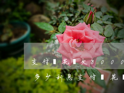 支付寶花唄欠8000五個(gè)月沒還多少利息（支付寶花唄逾期4000塊利息）