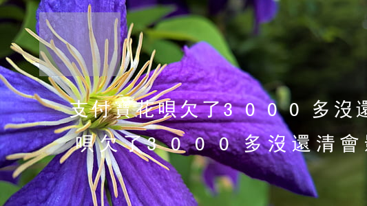 支付寶花唄欠了3000多沒還-支付寶花唄欠了3000多沒還清會影響老公的信用嗎