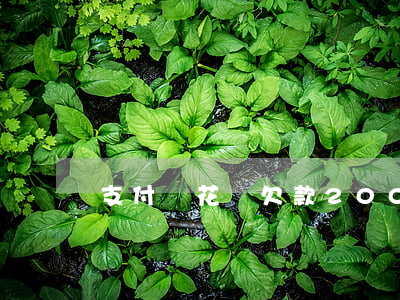 支付寶花唄欠款2000能起訴嗎