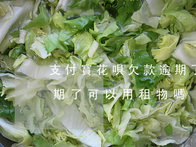 支付寶花唄欠款逾期了-支付寶花唄欠款逾期了可以用租物嗎