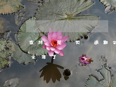 支付寶花唄欠錢逾期2年了(支付寶花唄逾期2年了)