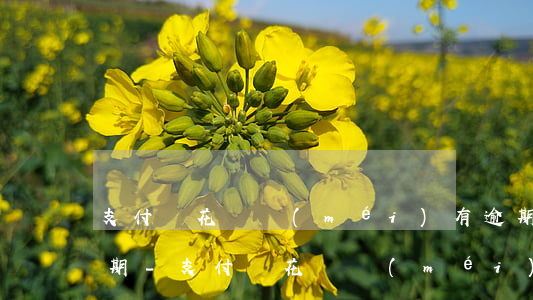 支付寶花唄沒(méi)有逾期為啥提示逾期-支付寶花唄沒(méi)有逾期為啥提示逾期了