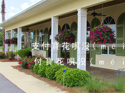 支付寶花唄沒(méi)逾期不能用了-支付寶花唄沒(méi)逾期不能用了嗎