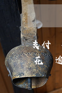支付寶花唄準(zhǔn)備逾期了(支付寶花唄逾期了半年怎么辦)