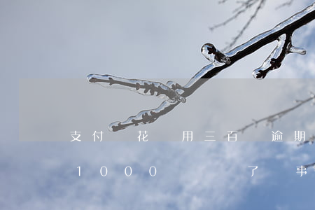 支付寶花唄用三百塊逾期(花唄逾期了三個月1000塊錢還了沒事吧)