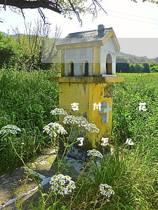 支付寶花唄疫情逾期-支付寶花唄疫情逾期了怎么辦