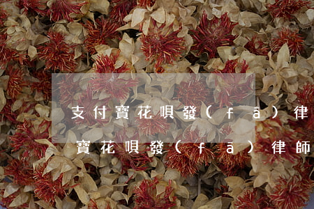 支付寶花唄發(fā)律師函是真的嗎(支付寶花唄發(fā)律師函是真的嗎)