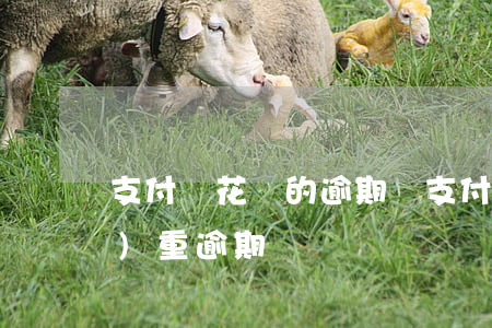 支付寶花唄的逾期費(支付寶花唄嚴(yán)重逾期)