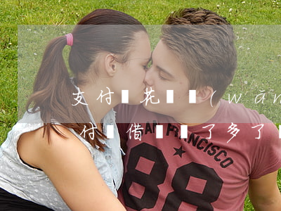 支付寶花唄網(wǎng)商貸欠13萬(支付寶借唄沒了多了個網(wǎng)商貸)