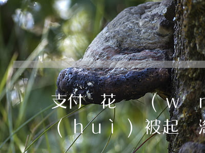 支付寶花唄網(wǎng)商貸逾期多久會(huì)被起訴（淘寶貸款逾期被起訴）
