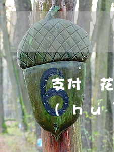 支付寶花唄網(wǎng)商貸逾期多久會(huì)起訴-支付寶花唄網(wǎng)商貸逾期多久會(huì)起訴我
