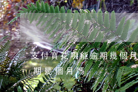 支付寶花唄能逾期幾個月-支付寶花唄能逾期幾個月嗎