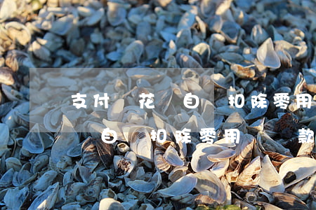 支付寶花唄自動扣除零用錢還款-支付寶花唄自動扣除零用錢還款怎么辦
