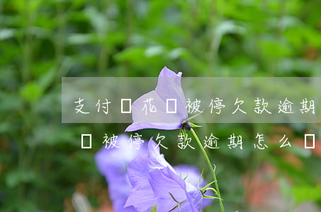 支付寶花唄被停欠款逾期怎么還-支付寶花唄被停欠款逾期怎么還本金
