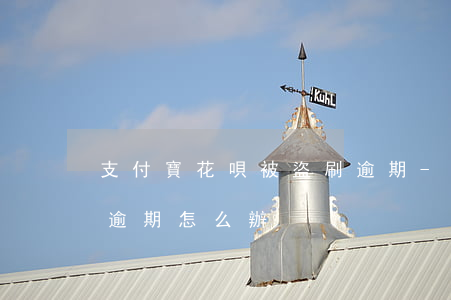 支付寶花唄被盜刷逾期-支付寶花唄被盜刷逾期怎么辦