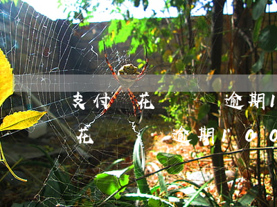 支付寶花唄賬單逾期1000截圖-支付寶花唄賬單逾期1000截圖能用嗎