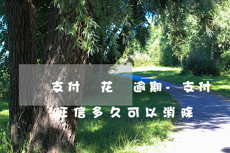 支付寶 花唄 逾期-支付寶花唄逾期多久會上征信多久可以消除