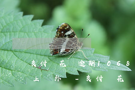 支付寶花唄逾期1068發(fā)短信說上門外訪-支付寶花唄逾期打電話說上門