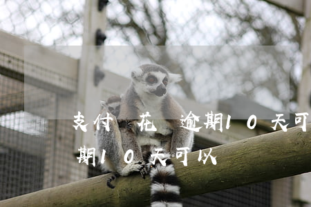 支付寶花唄逾期10天可以嗎（支付寶花唄逾期10天可以嗎）