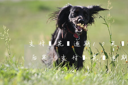 支付寶花唄逾期10天會(huì)有什么后果-支付寶花唄逾期10天會(huì)有什么后果嗎