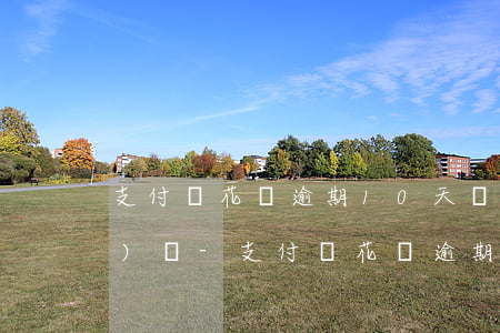 支付寶花唄逾期10天會不會關(guān)閉-支付寶花唄逾期10天會不會關(guān)閉了