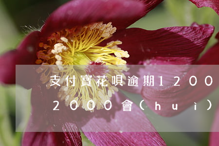 支付寶花唄逾期1200(支付寶花唄逾期12000會(huì)給家里打電話嗎)