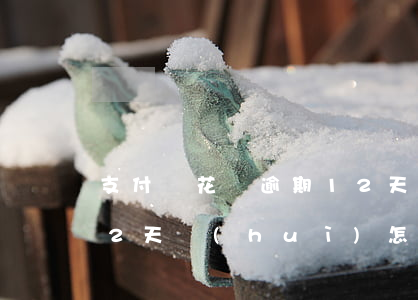 支付寶花唄逾期12天-支付寶花唄逾期12天會(huì)怎樣