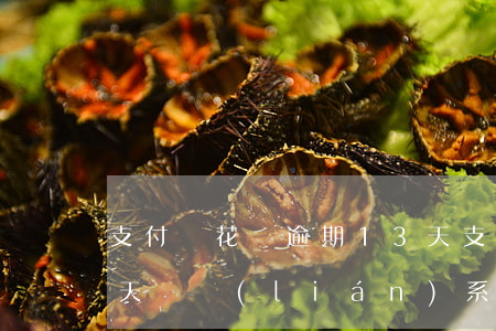 支付寶花唄逾期13天(支付寶花唄逾期13天會聯(lián)系家人嗎)