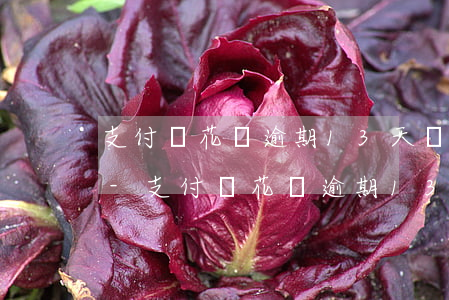 支付寶花唄逾期13天會(huì)怎么樣-支付寶花唄逾期13天會(huì)怎么樣嗎