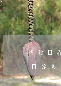 支付寶花唄逾期15天會上征信嗎(支付寶花唄逾期五天上征信嗎)