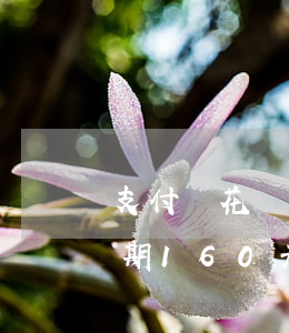 支付寶花唄逾期16000-支付寶花唄逾期160天會(huì)怎么樣