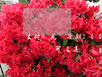 支付寶花唄逾期1600(支付寶花唄逾期買車車貸可以通過(guò)嗎?)