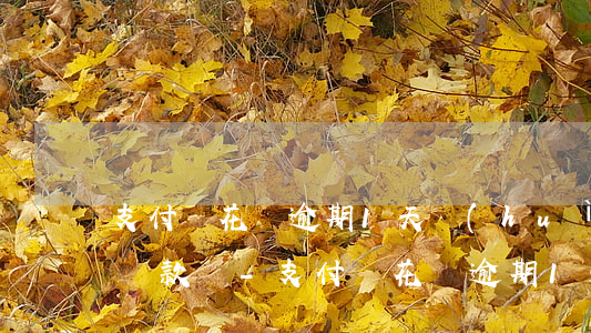 支付寶花唄逾期1天會(huì)影響以后貸款嗎?-支付寶花唄逾期1天會(huì)影響以后貸款嗎