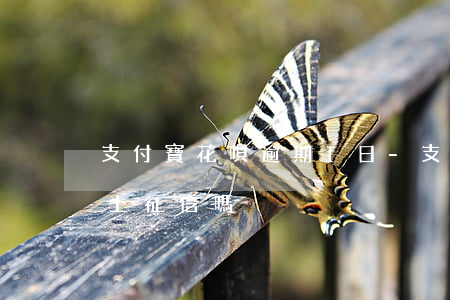 支付寶花唄逾期1日-支付寶花唄逾期1日上征信嗎