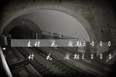 支付寶花唄逾期2000元會被起訴么-支付寶花唄逾期2000元會被起訴么嗎