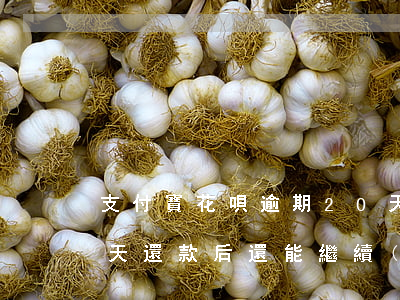 支付寶花唄逾期20天(支付寶花唄逾期20天還款后還能繼續(xù)使用嗎)