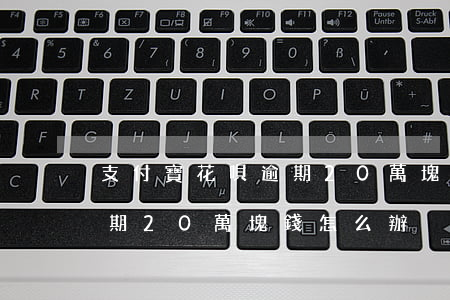 支付寶花唄逾期20萬塊錢-支付寶花唄逾期20萬塊錢怎么辦