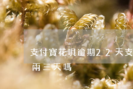 支付寶花唄逾期22天(支付寶花唄可以逾期兩三天嗎)