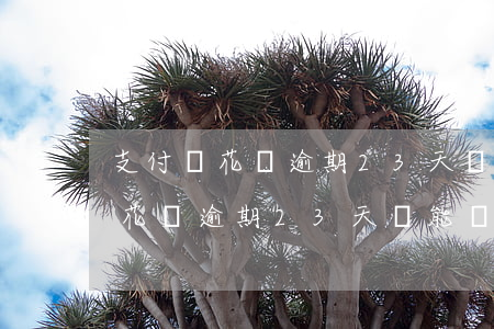支付寶花唄逾期23天還能開通嗎-支付寶花唄逾期23天還能開通嗎