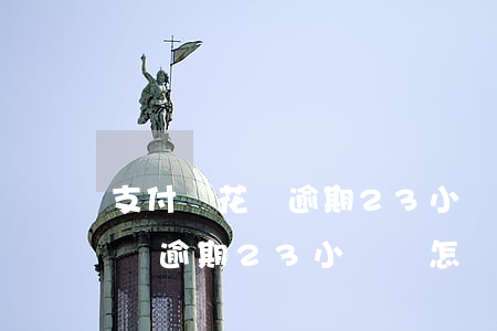 支付寶花唄逾期23小時會怎樣-支付寶花唄逾期23小時會怎樣處理