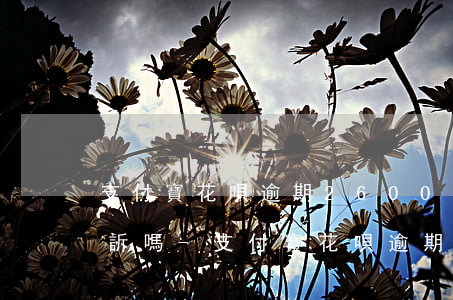 支付寶花唄逾期2600會(huì)被起訴嗎-支付寶花唄逾期2600會(huì)被起訴嗎知乎