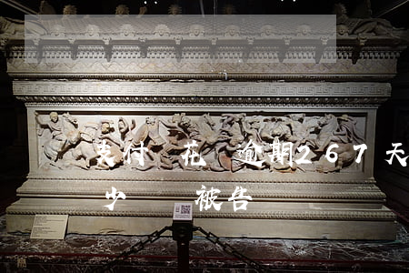 支付寶花唄逾期267天(支付寶花唄逾期多少錢會被告)