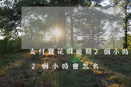 支付寶花唄逾期2個小時-支付寶花唄逾期2個小時會怎么?